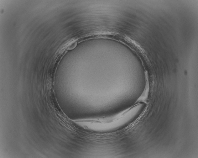 X0000062141169200601060915