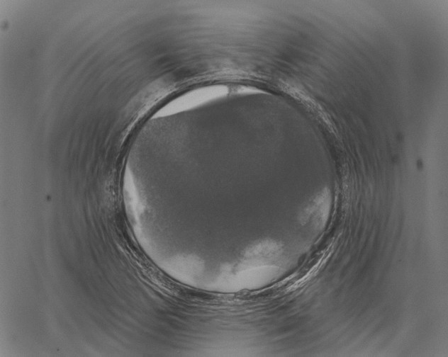 X0000062141170200601060915