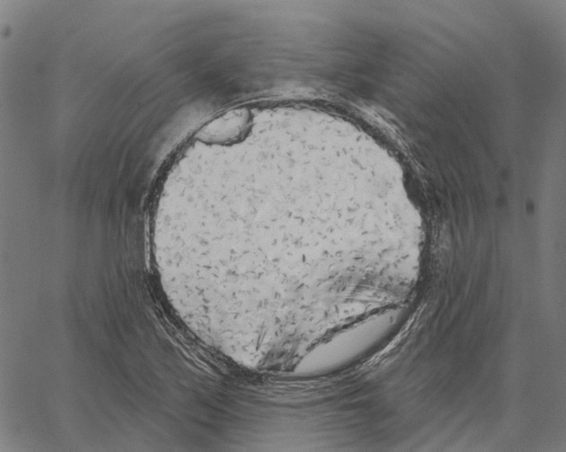 X0000062141171200601060915