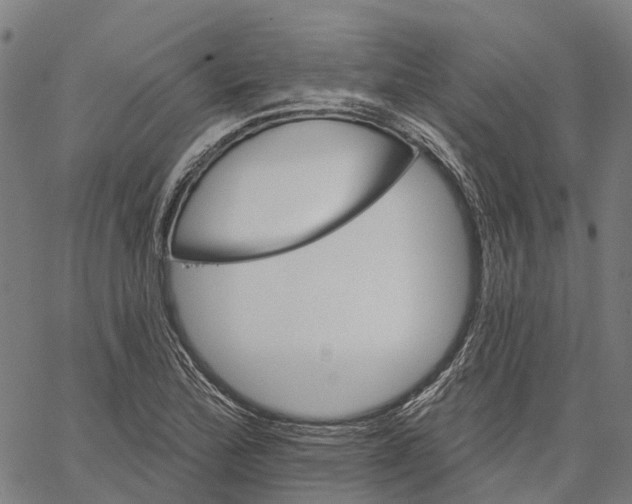 X0000062141172200601060915