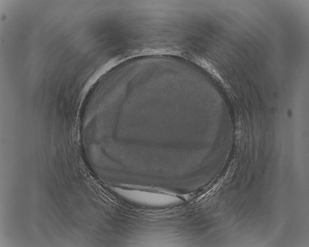 X0000062141173200601060915