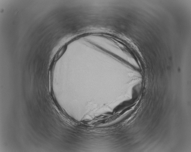 X0000062141175200601060915