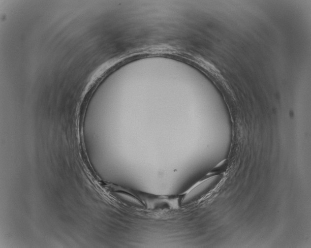 X0000062141176200601060915