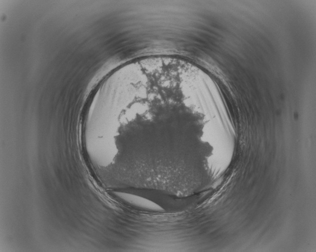 X0000062141179200601060915