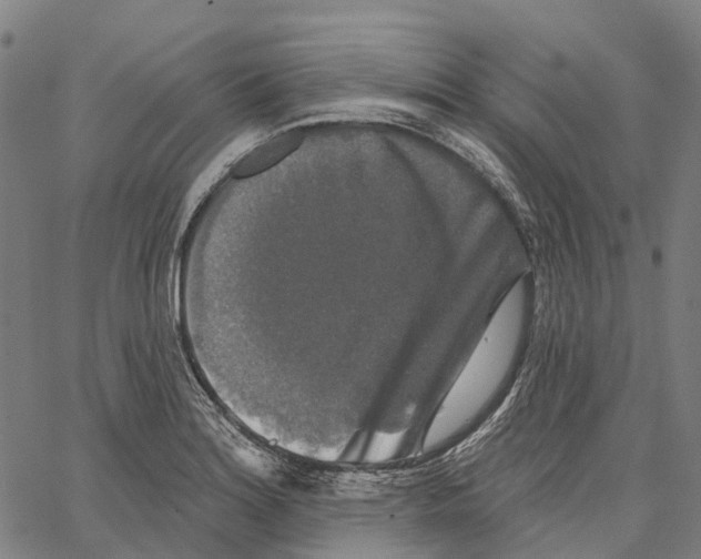 X0000062141180200601060915