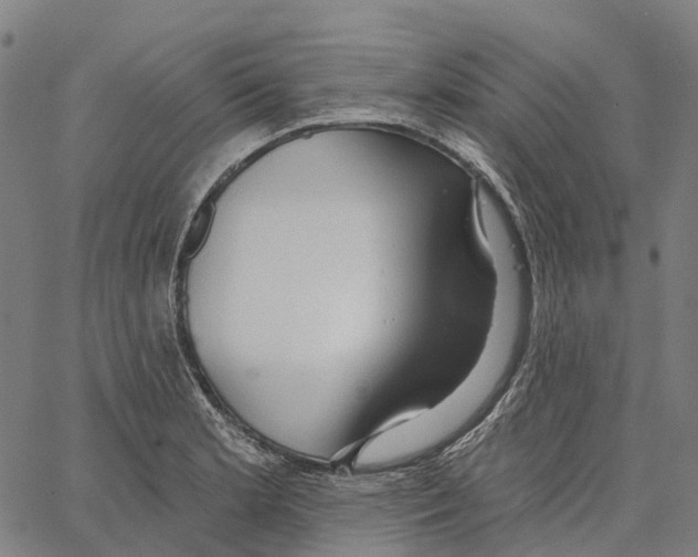 X0000062141181200601060915