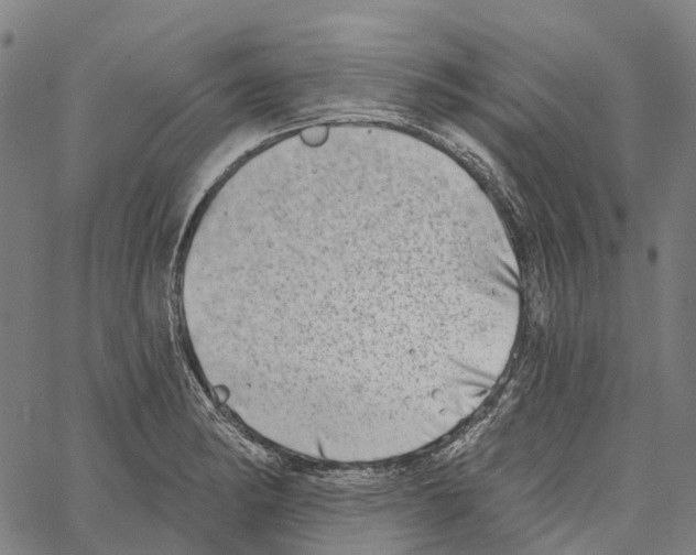 X0000062141182200601060915