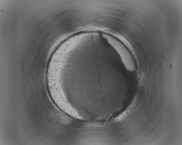 X0000062141183200601060915