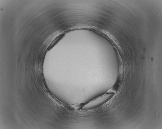 X0000062141185200601060915