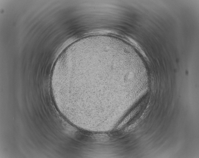 X0000062141186200601060915