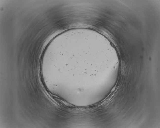 X0000062141187200601060915