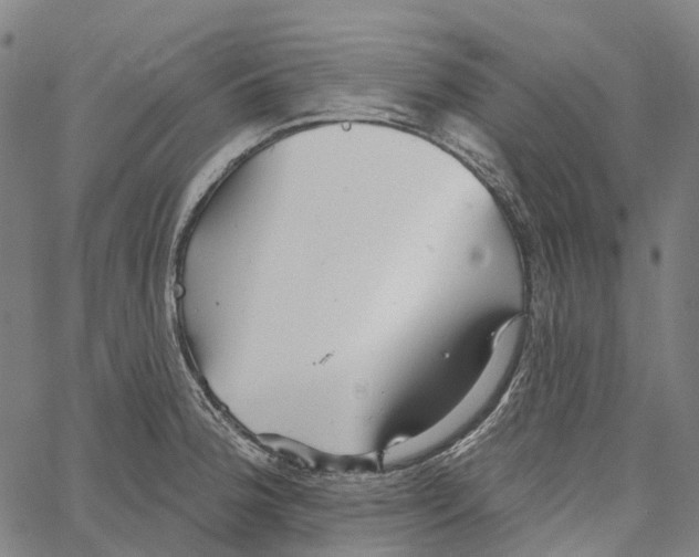 X0000062141188200601060915