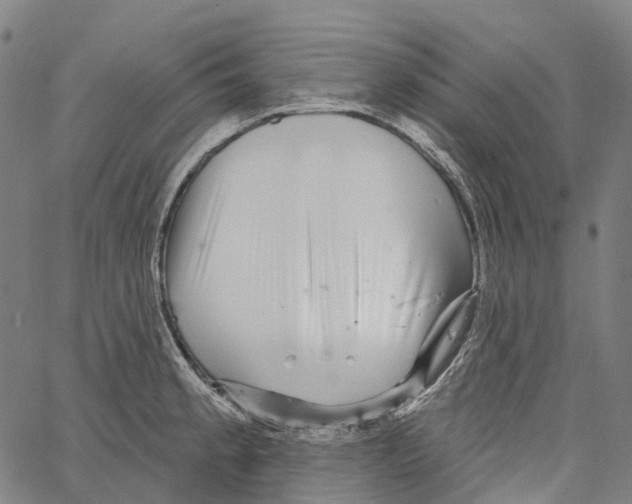 X0000062141189200601060915