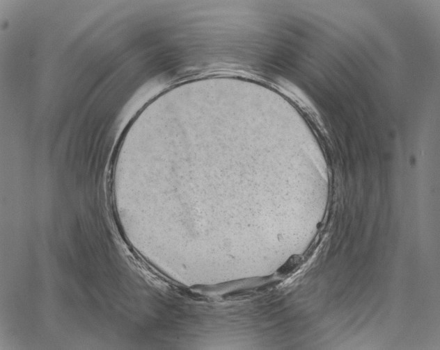 X0000062141190200601060915