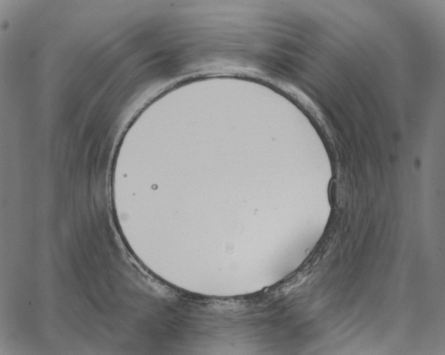 X0000062141191200601060915