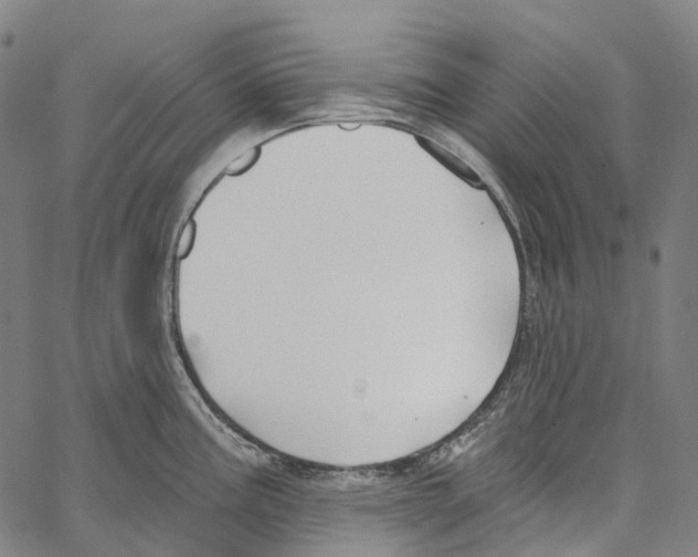 X0000062141195200601060915