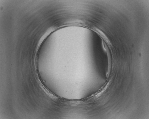 X0000062141196200601060915