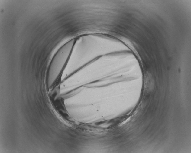 X0000062141197200601060915