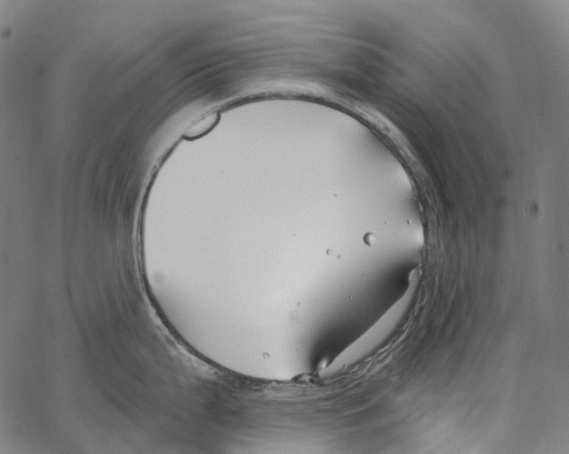 X0000062141199200601060915