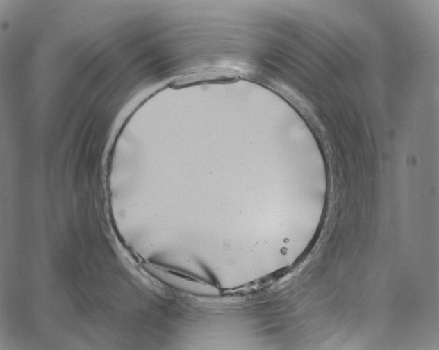 X0000062141200200601060915