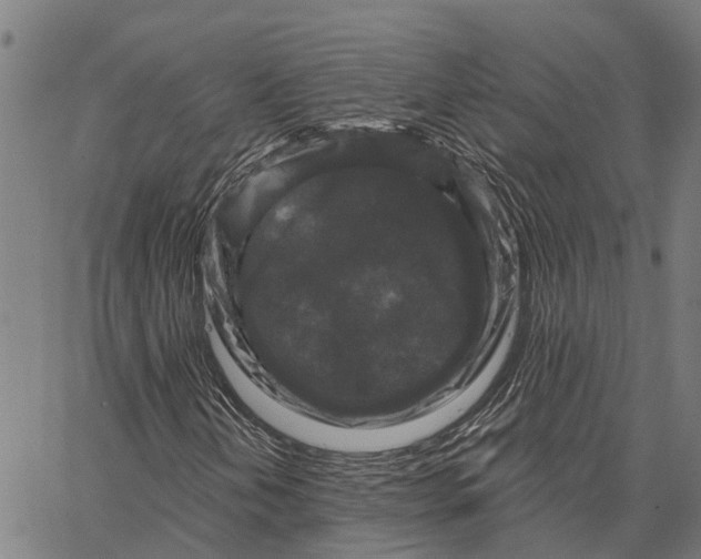 X0000062141202200601060914