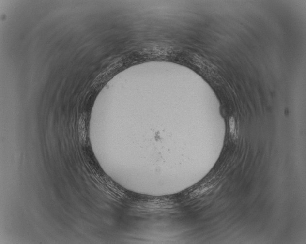 X0000062141203200601060914