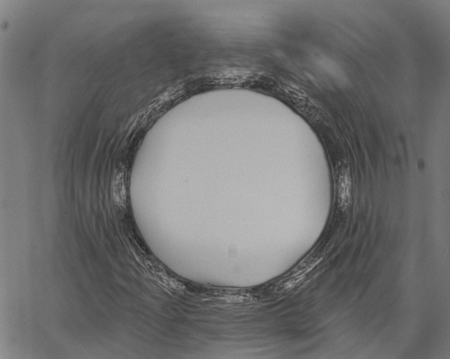 X0000062141204200601060914