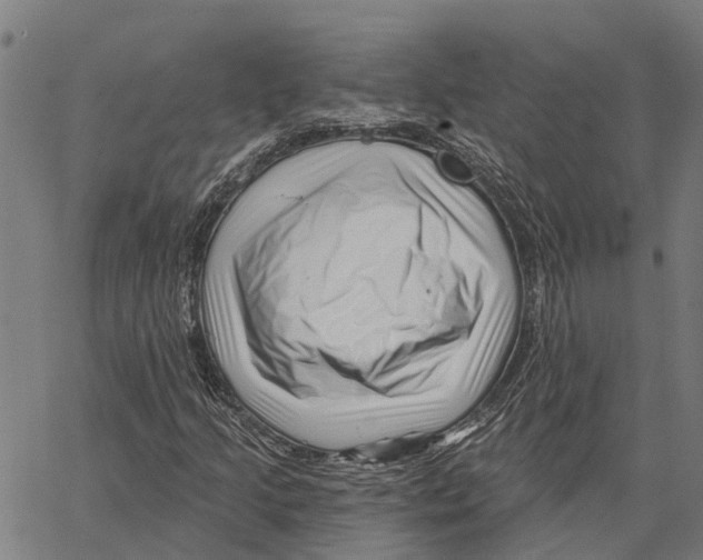 X0000062141205200601060914