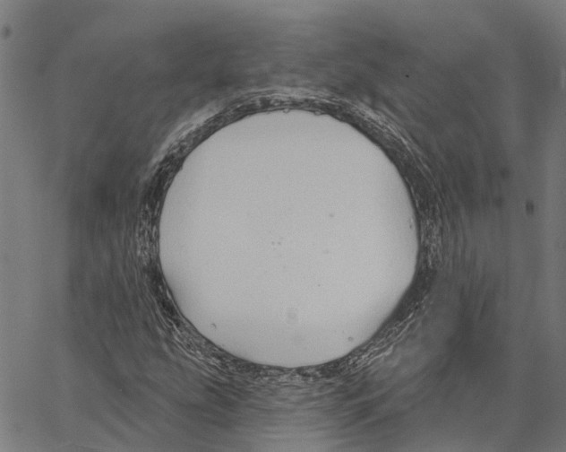 X0000062141207200601060914