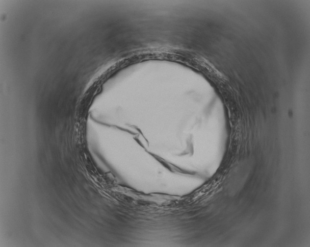 X0000062141208200601060914