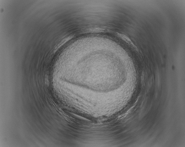 X0000062141209200601060914