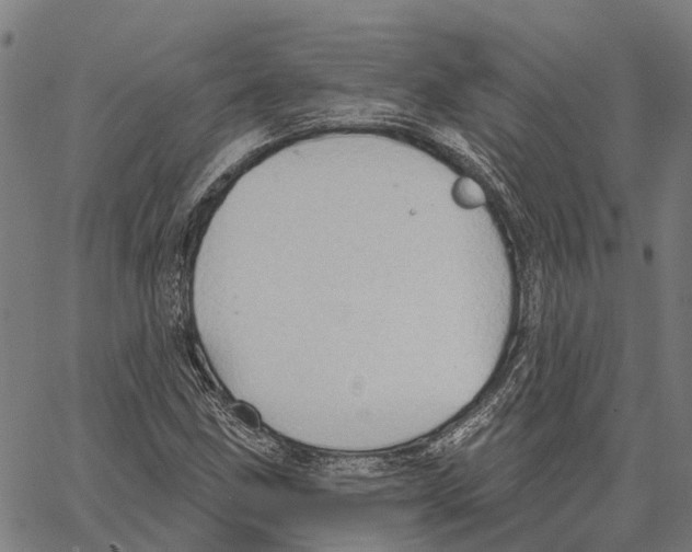 X0000062141211200601060914