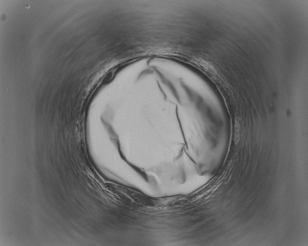 X0000062141212200601060914