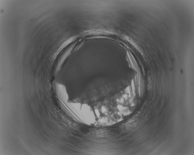 X0000062141213200601060914