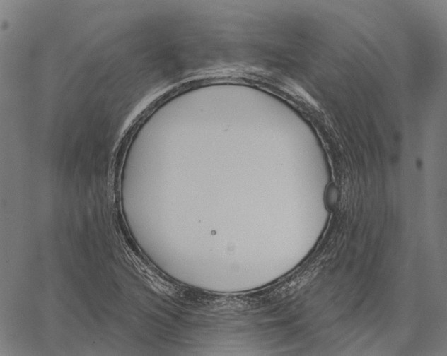 X0000062141216200601060914