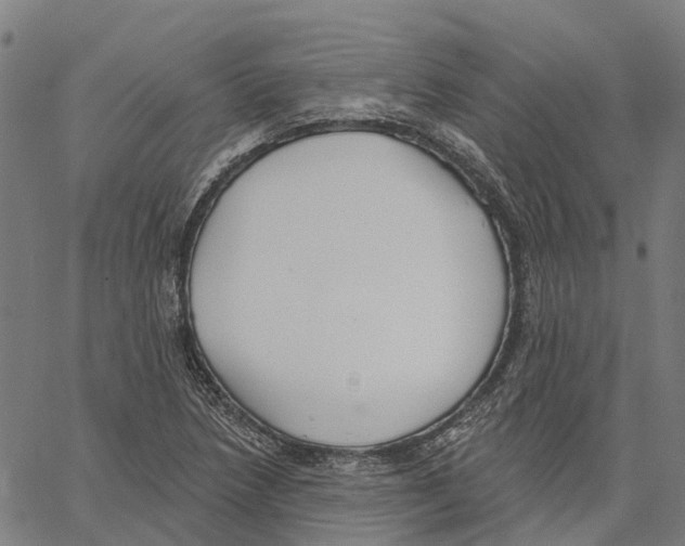 X0000062141218200601060914