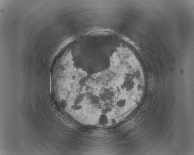 X0000062141219200601060914