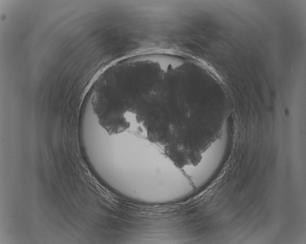 X0000062141220200601060914