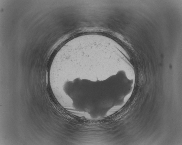 X0000062141221200601060914