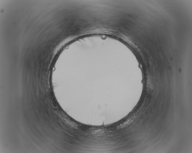 X0000062141222200601060914