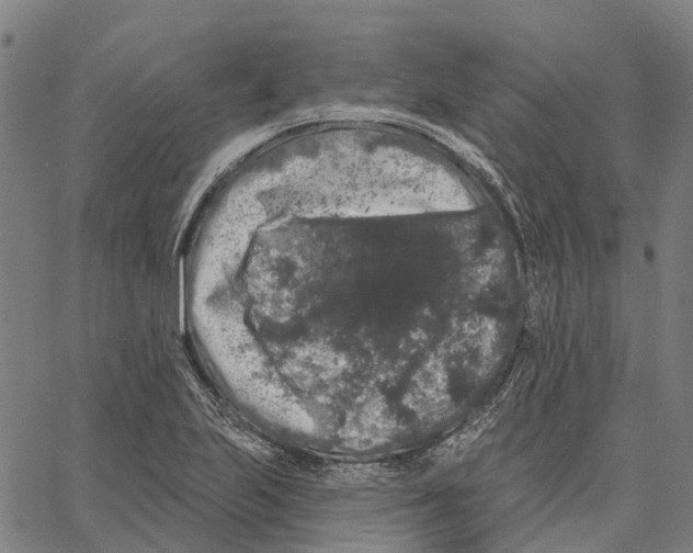 X0000062141223200601060915