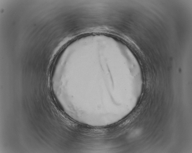 X0000062141224200601060915