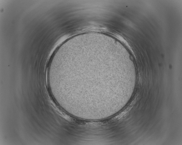 X0000062141227200601060915