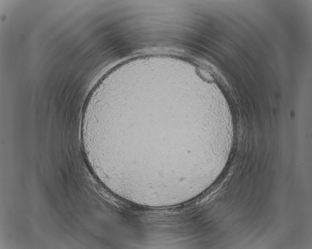 X0000062141228200601060915