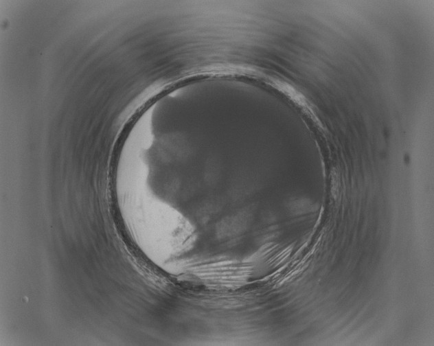 X0000062141229200601060915