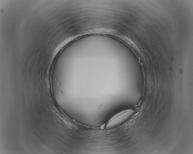 X0000062141230200601060915