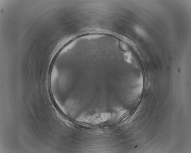 X0000062141231200601060915