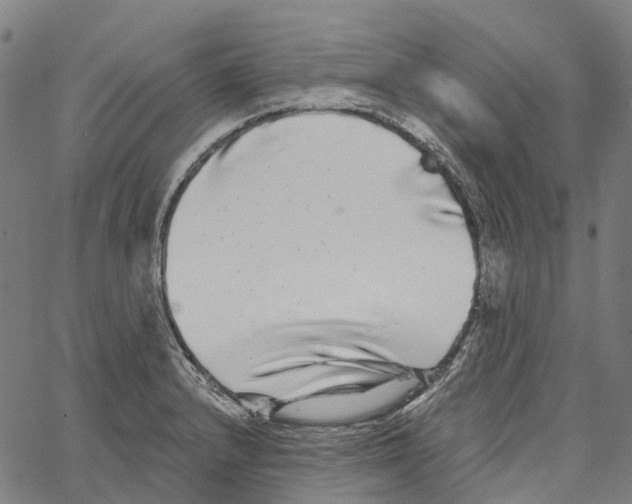 X0000062141232200601060915