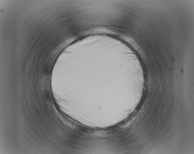 X0000062141233200601060915