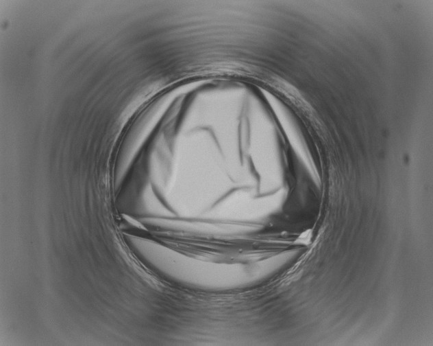 X0000062141234200601060915